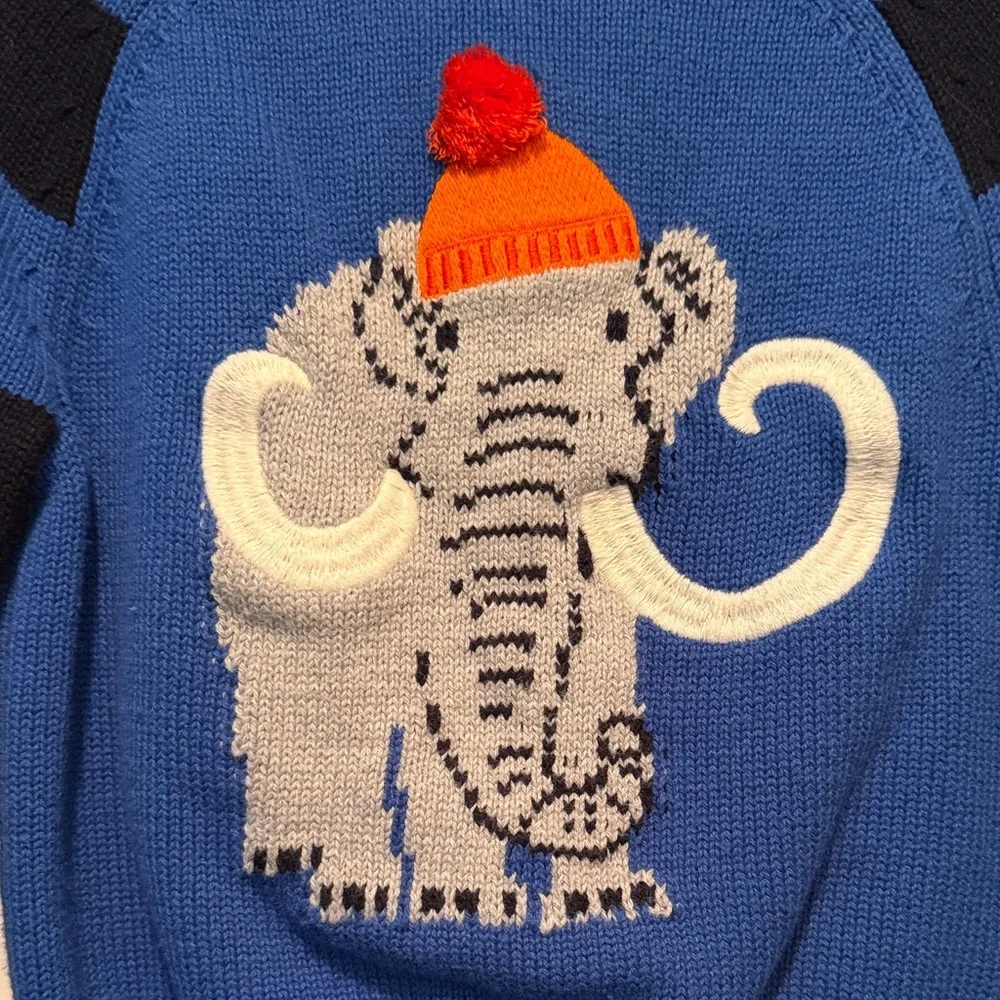 Gymboree bold royal
